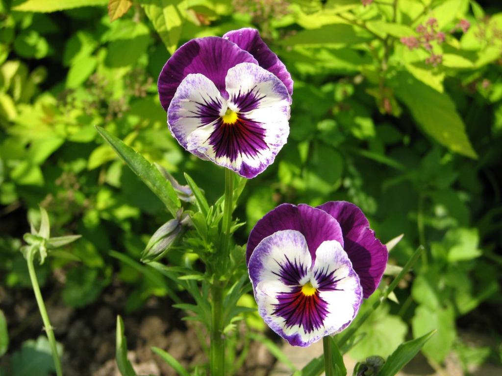 img_4349.jpg